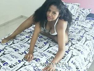 CANDYWELL