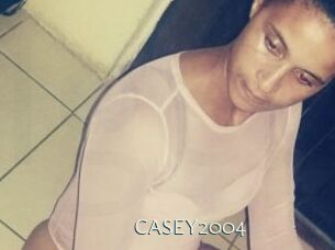 CASEY2004