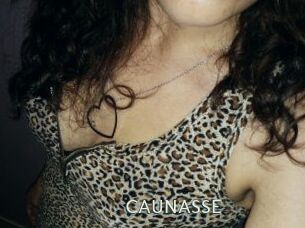 CAUNASSE 1 grosse chatte poilue