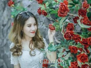 Calanthas
