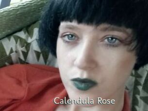 Calendula_Rose