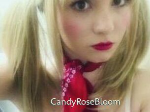 CandyRoseBloom