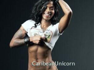 CaribeanUnicorn 1 grosse chatte poilue