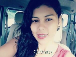 Carlina23