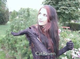 CatRaven