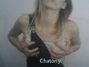 Chaton31