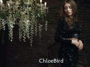 ChloeBird