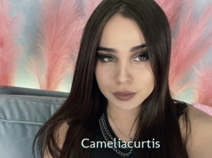Cameliacurtis