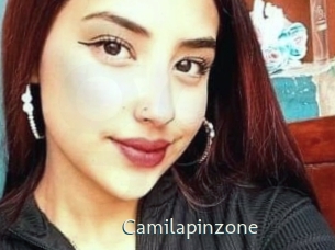 camilapinzone 1 grosse chatte poilue