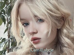camillabrie 1 grosse chatte poilue