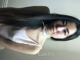 Camini