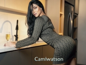 camiwatson 1 grosse chatte poilue