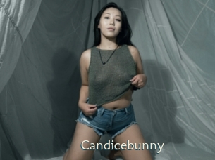 Candicebunny