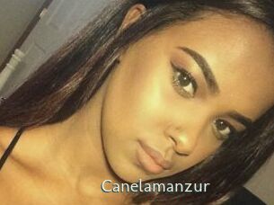 Canelamanzur