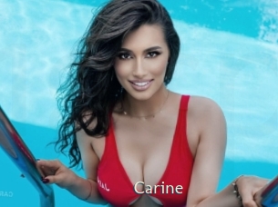 carine 1 grosse chatte poilue