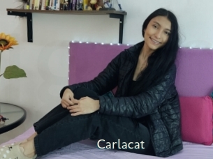 Carlacat