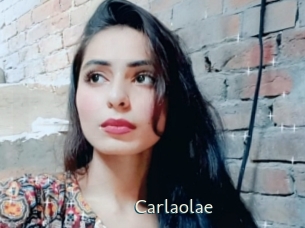 carlaolae 1 grosse chatte poilue