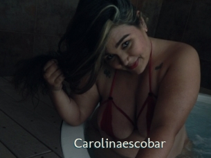 carolinaescobar 1 grosse chatte poilue