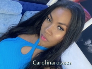carolinarossees 1 grosse chatte poilue
