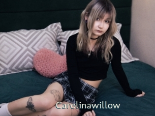 Carolinawillow