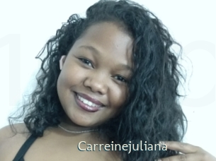 carreinejuliana 1 grosse chatte poilue