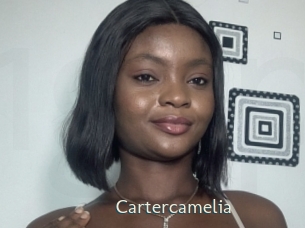 cartercamelia 1 grosse chatte poilue