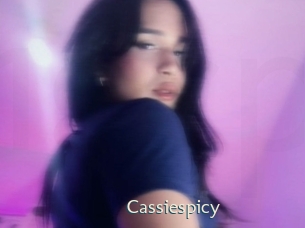 Cassiespicy