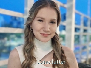 Cateclutter