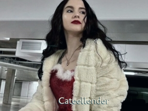 Cateellender