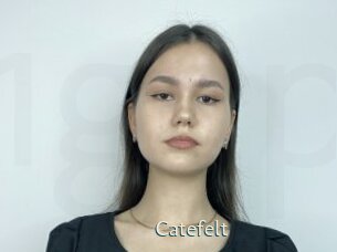 Catefelt
