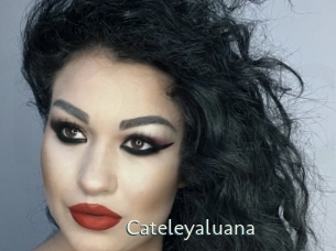 Cateleyaluana