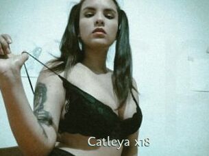Catleya_x18