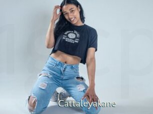 Cattaleyakane