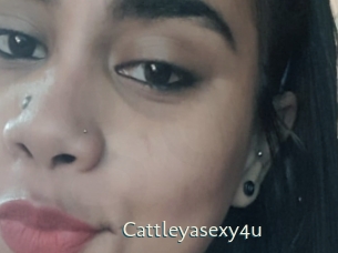Cattleyasexy4u