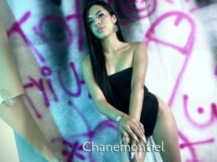 chanemontiel 1 grosse chatte poilue