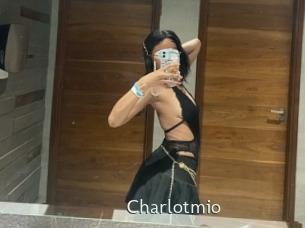 charlotmio 1 grosse chatte poilue