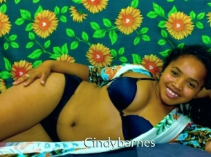 Cindybarnes