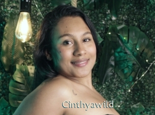 cinthyawild 1 grosse chatte poilue