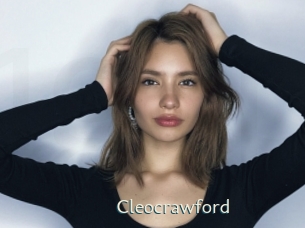 cleocrawford 1 grosse chatte poilue