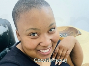 cocoflames23 1 grosse chatte poilue