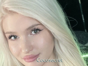 cocosecret 1 grosse chatte poilue