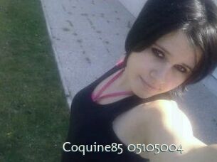 coquine85-05105004 1 grosse chatte poilue