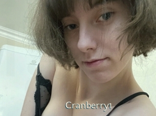 cranberry1 1 grosse chatte poilue