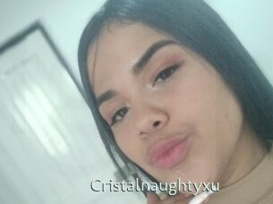 cristalnaughtyxu 1 grosse chatte poilue