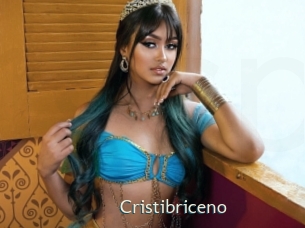 cristibriceno 1 grosse chatte poilue