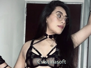 cristinasoft 1 grosse chatte poilue