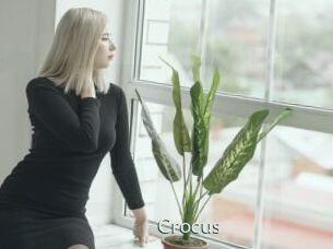 Crocus