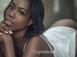 crystalcox 1 grosse chatte poilue
