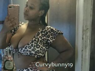 Curvybunny19