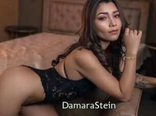 DamaraStein